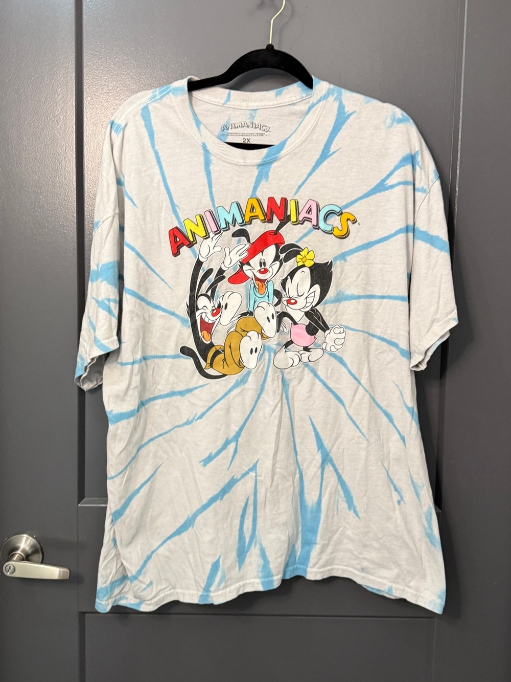 Animaniacs Tie-Dye Graphic Tee